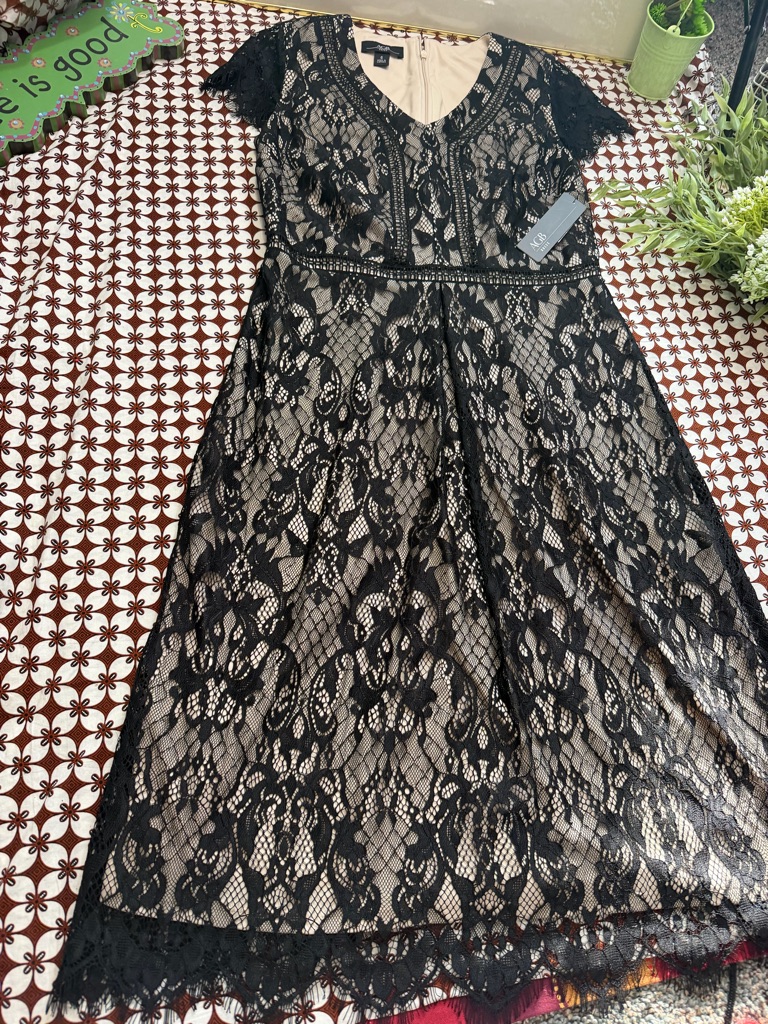 Agb Black Lace Dress With Nude Lining